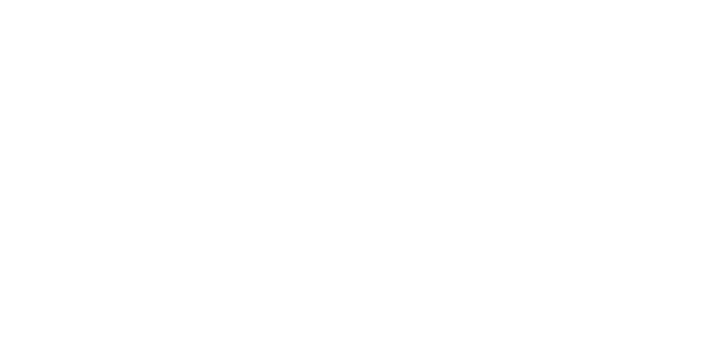 NBS Logo white
