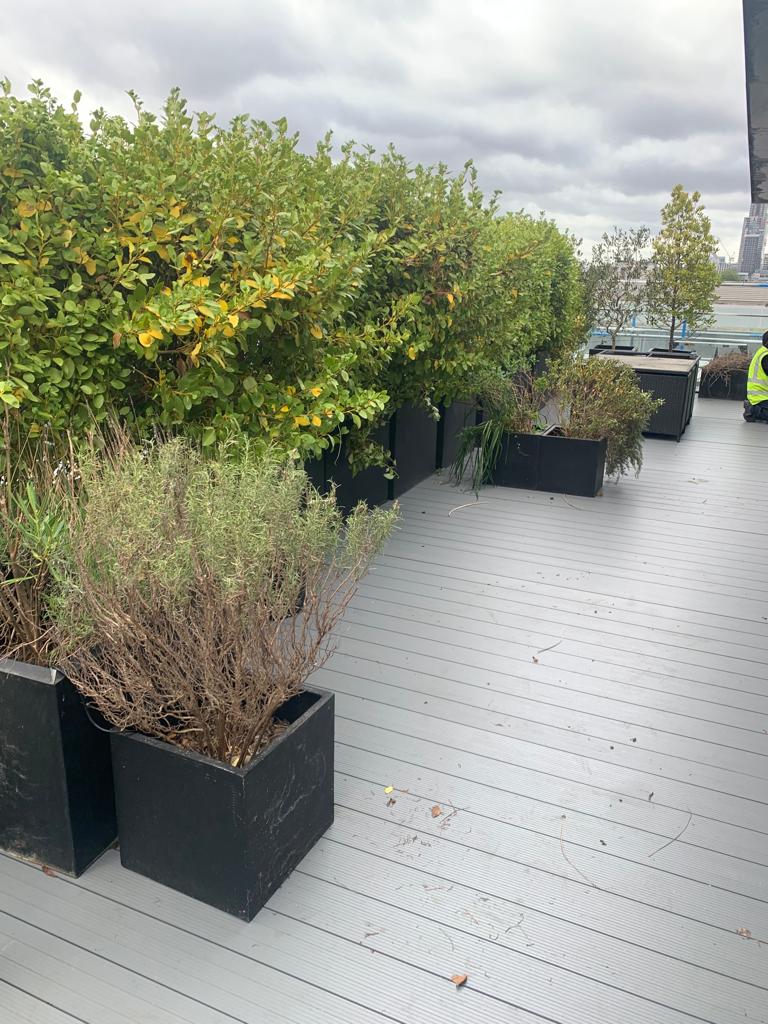 Gainsborough Studios Projects Gallery MyDek